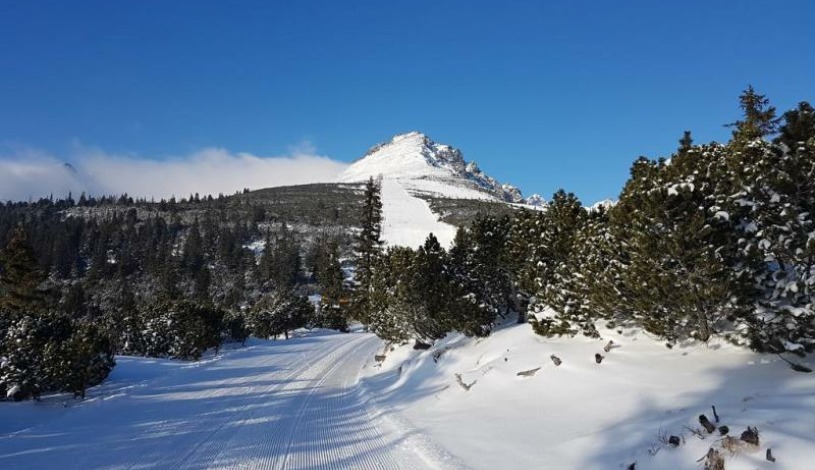Hotel CROCUS **** Vysoké Tatry